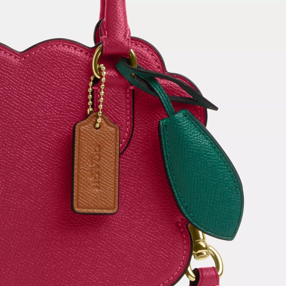 🍒 Coach Raspberry Crossbody - Picture 4 of 7